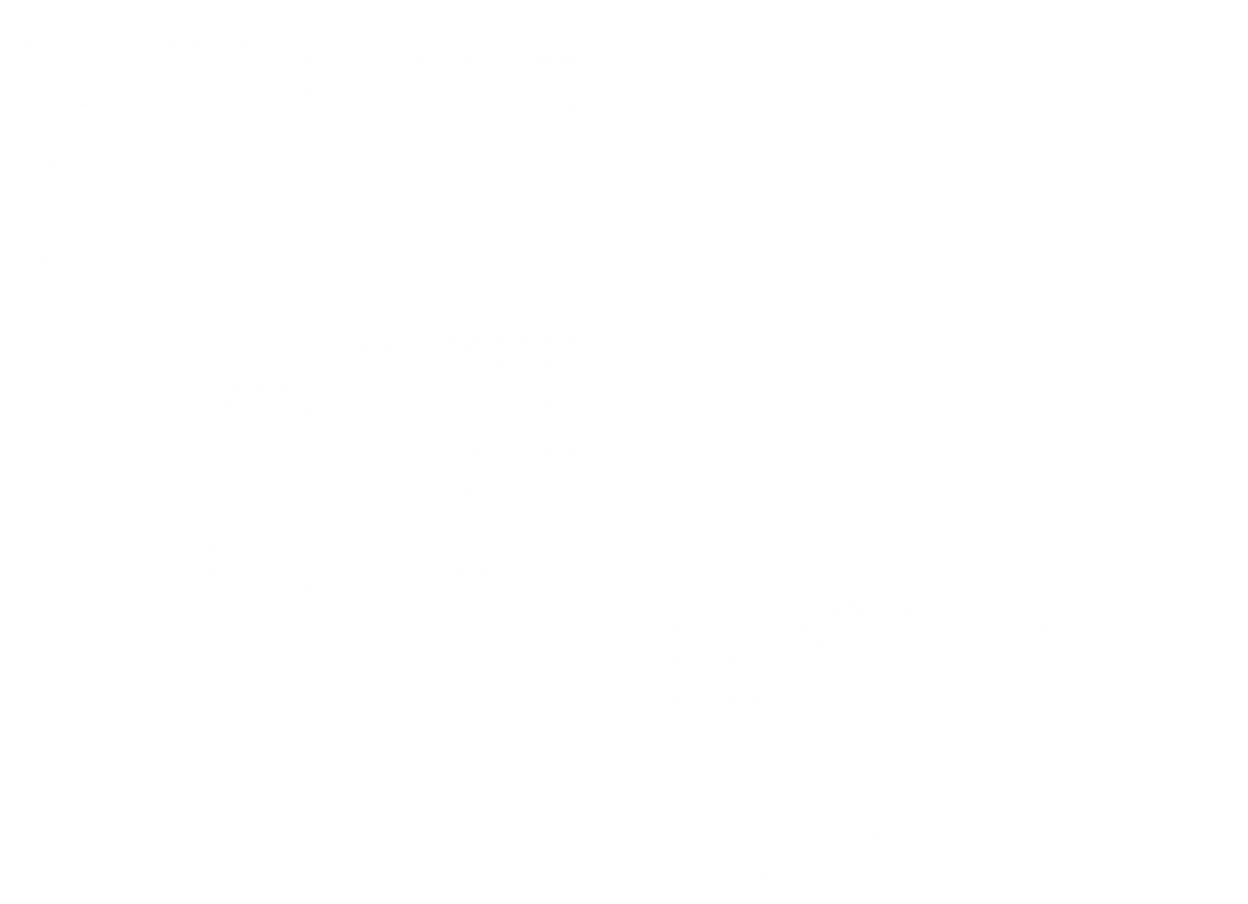 Ecowater Systems