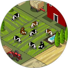 Problèmes courants - Déchets animaux Problèmes courants - Déchets animaux