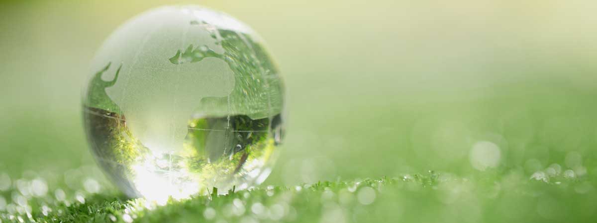 Durabilité: ce que cela signifie pour Ecowater et pour le monde