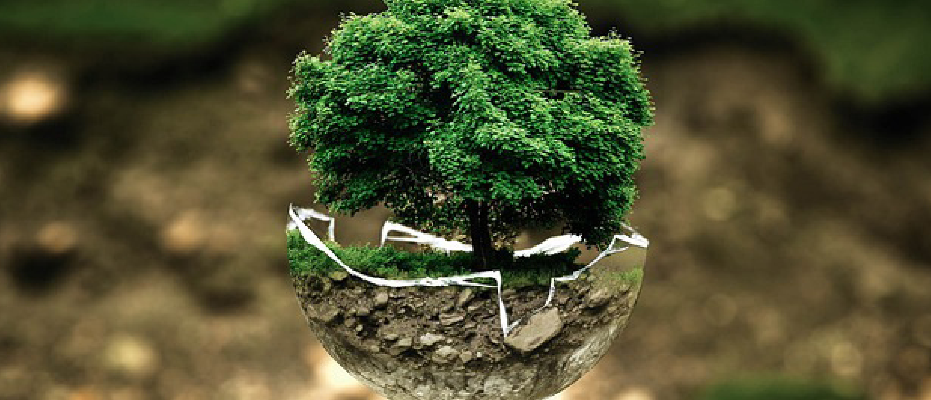 Protection de l'environnement grâce aux solutions EcoWater