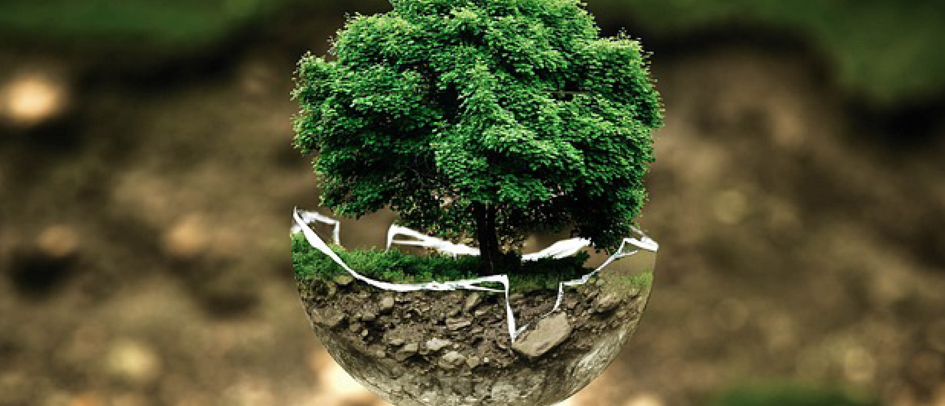 Protection de l'environnement grâce aux solutions EcoWater Protection de l'environnement grâce aux solutions EcoWater