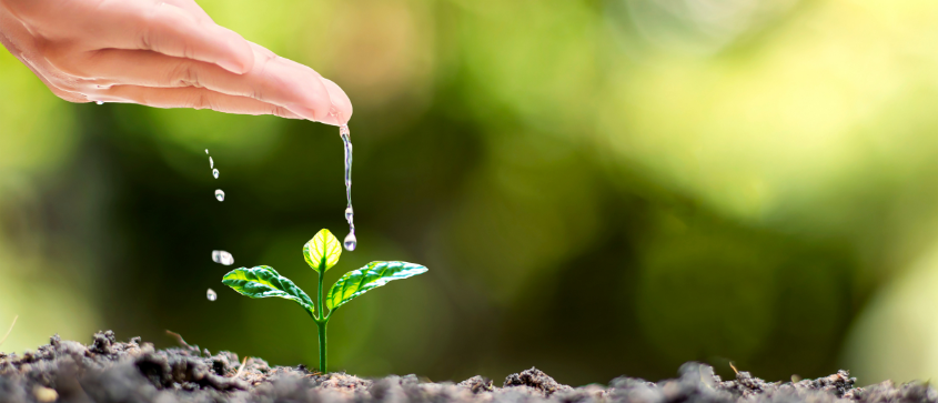 L'eau adoucie pour un meilleur confort de vie