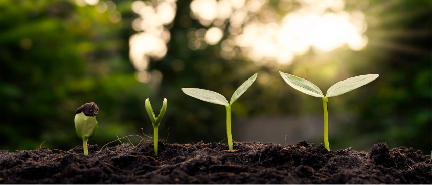 Un geste durable et économique avec votre adoucisseur d'eau